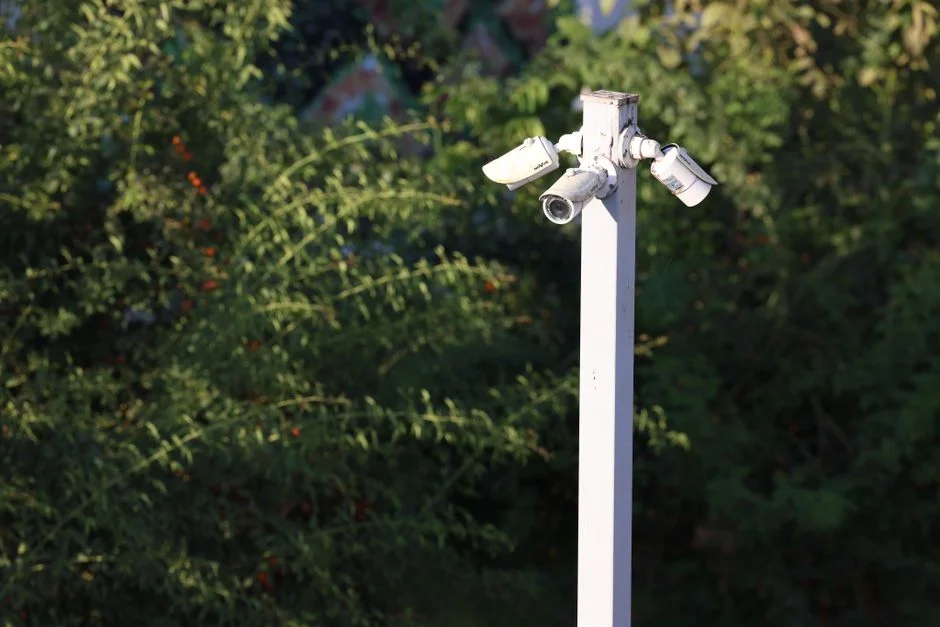 Blink Indoor Camera Roundup: Top Picks Compared